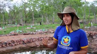 Manejo do uso sustentável da terra no semiárido do Nordeste brasileiro – Sergipe [upl. by Nydnarb]