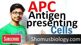 Antigen presenting cells APC [upl. by Anih]