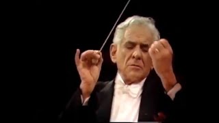 Gustav Mahler  Adagietto  Leonard Bernstein 4K [upl. by Montgomery]