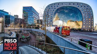 How Rotterdam became a center of architectural experimentation [upl. by Proudlove790]