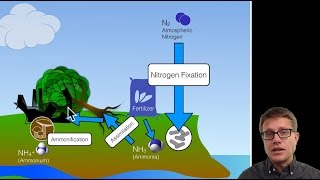 Biogeochemical Cycles [upl. by Charmane425]