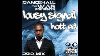 Busy Signal Mix 68 Tracks [upl. by Llednyl]