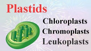 PlastidsChloroplastChromoplast and Leucoplasttheir Function in plants By Smart Learning 47 [upl. by Imhskal]