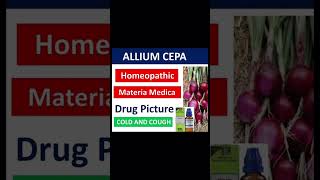 Homeopathic medicine allium cepa [upl. by Nivat]