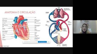 Classificação das cardiopatias congênitas [upl. by Wilhide243]