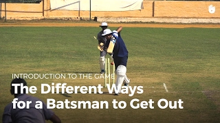 The Different Ways to Get Out  Cricket [upl. by Llerdnad]