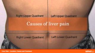 Liver Pain  Location Causes and Treatment [upl. by Sheridan308]