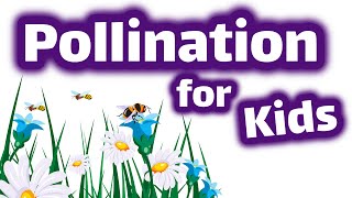 Pollination for Kids [upl. by Helbon678]