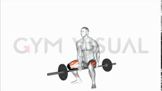 Barbell Jefferson Squat [upl. by Aneleiram]