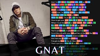 Eminem  Gnat  Lyrics Rhymes Highlighted [upl. by Eisse561]