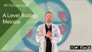 Meiosis and chromosome mutation  A Level Biology [upl. by Ariamoy690]