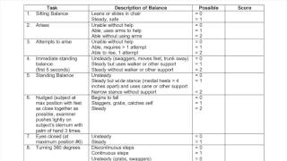 Functional Exam  Tinetti Performance Oriented Mobility Assessment [upl. by Greenland]