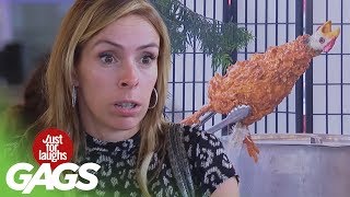 Best Chicken Pranks [upl. by Jenette]