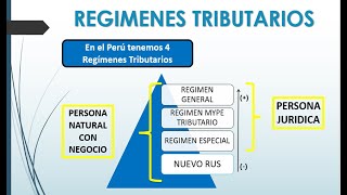 LIBROS CONTABLES  Regímenes Tributarios en el PerúSUNAT 2020 [upl. by Sparke]