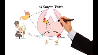 Pharmacology  ANTIHISTAMINES MADE EASY [upl. by Jeff]