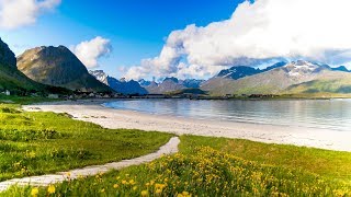 Uplifting Music  light positive happy music Gullrosøya  1 hour [upl. by Milt]