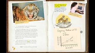 HMH Read Aloud  TJ The Siberian Tiger Cub  3rd grade [upl. by Lleynod]