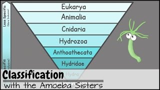 Classification [upl. by Aanas]