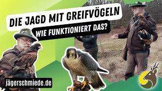 Die Falknerei und Beizjagd  Mach dich fit für die Jagdprüfung Praktischer Jagdbetrieb [upl. by Yeffej488]