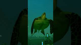 Archelon Turtle [upl. by Winshell500]