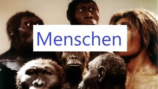 Evolution der Urmenschen Einführung [upl. by Hendon]