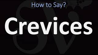 How to Pronounce Crevices CORRECTLY [upl. by Anair]