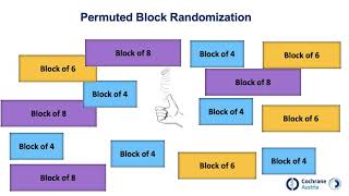 Randomization random allocation [upl. by Annaira192]