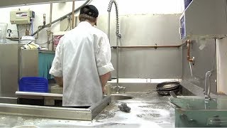 Dishwasher Career Video [upl. by Noyek]