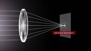 How Lenses Function [upl. by Nnahgaem]