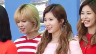 FMV TWICE트와이스 SaTzu 쯔위  사나 Crush [upl. by Etat973]