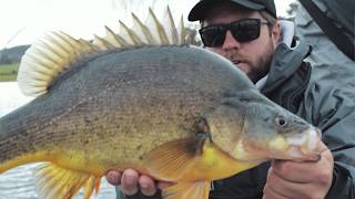 5 must have lures for Yellowbelly fishing [upl. by Osicnarf]