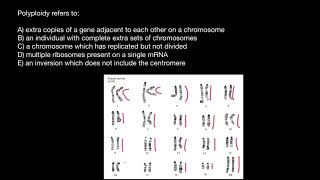 Triploidy vs Trisomy explained [upl. by Aiyram]