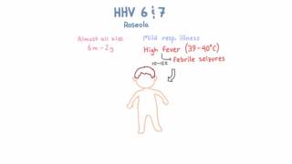 HHV 6 and 7  Roseloa [upl. by Digdirb]