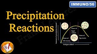 Precipitation Reactions and Precipitation Curve Diagnostic Immunology FLImmuno56 [upl. by Osnola640]