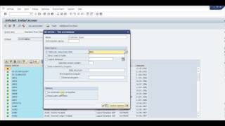 SAP Query Basic [upl. by Farly967]