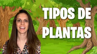 Tipos de plantas  Biología  1º ESO [upl. by Constantia701]