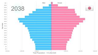 Japan Population Pyramid 19502100 [upl. by Manley]