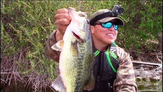 Puddingstone Lake Bass Fishing  EPIC DAY [upl. by Jacquenetta]