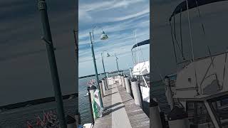 Islamorada Fish Company Fishing Docks in the Florida Keys [upl. by Ferretti86]