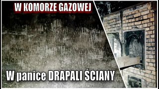 Auschwitz  Piece krematoryjne Komora gazowa Ściana straceń [upl. by Ahsimak]