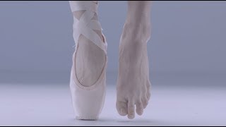 Ballet Anatomy Feet [upl. by Bannon]