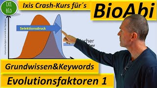 Evolution 1 Evolutionsfaktoren  Grundwissen  Übersicht  Training Wortschatz Keywords BioAbi [upl. by Annoyi]