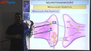 Modulação da transmissão sináptica e memória [upl. by Joela]