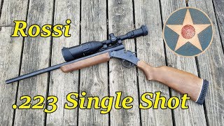 Rossi 223 Single Shot Rifle First Impressions Review [upl. by Eeraj804]