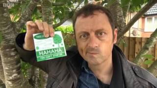 Rogue Traders  Greenways Tree amp Garden Care 2017 [upl. by Niltiac]