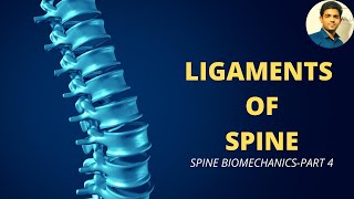 LIGAMENTS OF SPINE  SPINE BIOMECHANICS Part 4 [upl. by Davon]