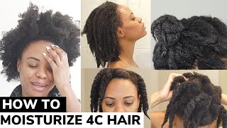 The ONLY Video You Need on How to Moisturize DRY 4C Natural Hair  DETAILED TUTORIAL 🙌🏽 💦 [upl. by Yrogerg]