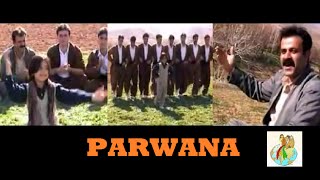 Parwana  Kurdish Music Halparke [upl. by Shipman]