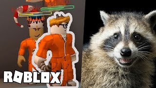 Ant calls me a Raccoon Cringely [upl. by Athiste]