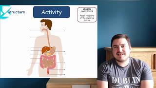 How does the digestive system work KS3 Science [upl. by Rose]